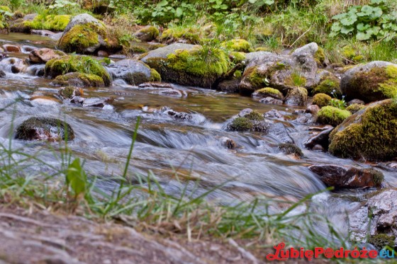 2013-08-19 Zakopane 088