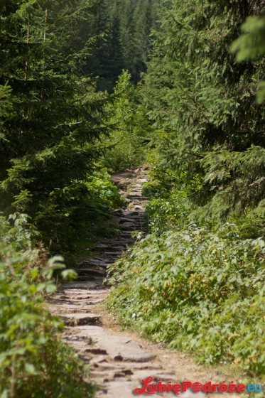 2013-08-19 Zakopane 224