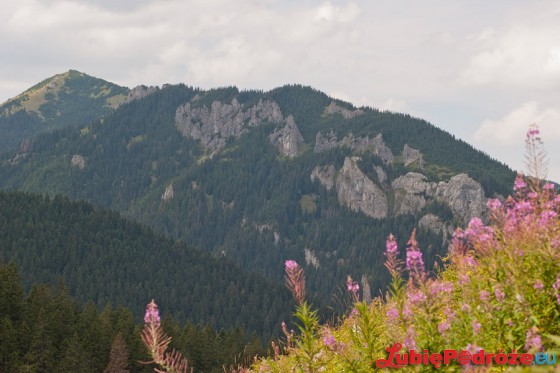 2013-08-19 Zakopane 308