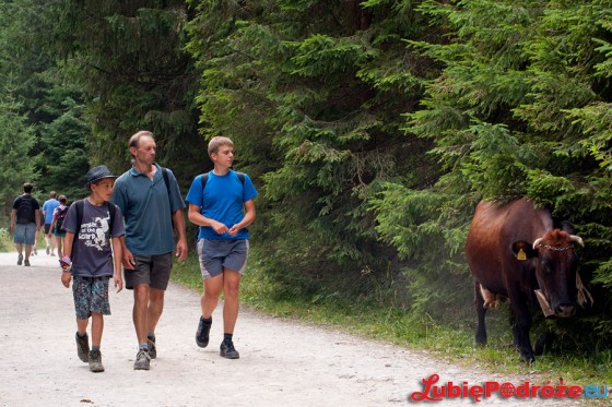 2013-08-19 Zakopane 341