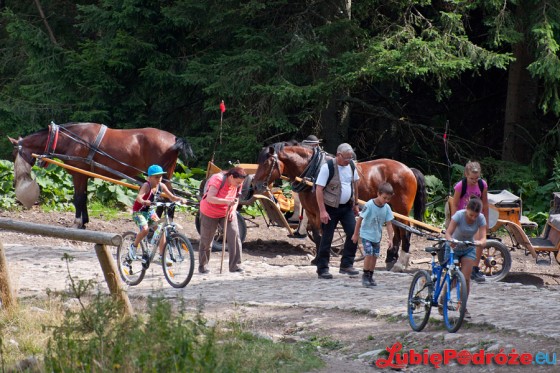 2013-08-19 Zakopane 380