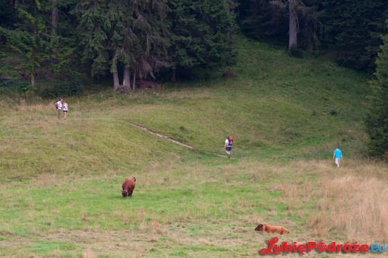 2013-08-19 Zakopane 480