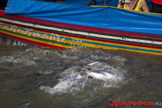 2013-11-25 Bangkok 341_900px_lp