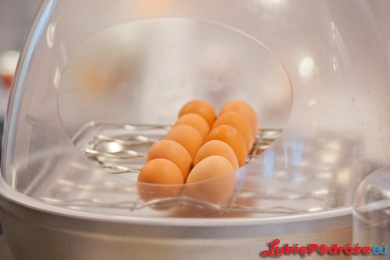 2014-02-01 Sofitel Warsaw Victoria 076