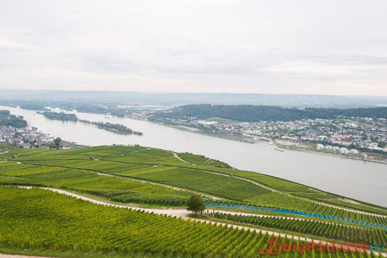 2014-08-25 Rudesheim 153