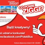 Co powie Ziggi? – wyjątkowy konkurs PolskiBus.com