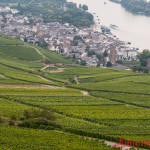 Niemcy – Rudesheim am Rhein, czyli urokliwe miasteczko nad Renem