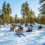 Fińska Kittilä – nowy zimowy kierunek KLM