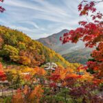 Jesienny urok Korei Południowej. Sezon na klony, festiwale i święto Chuseok